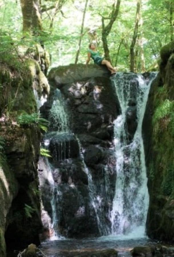 Le Parc Des 4 Saisons Bed & Breakfast Correze Luaran gambar