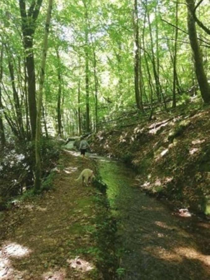 Le Parc Des 4 Saisons Bed & Breakfast Correze Luaran gambar