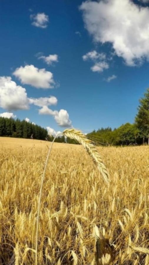 Le Parc Des 4 Saisons Bed & Breakfast Correze Luaran gambar