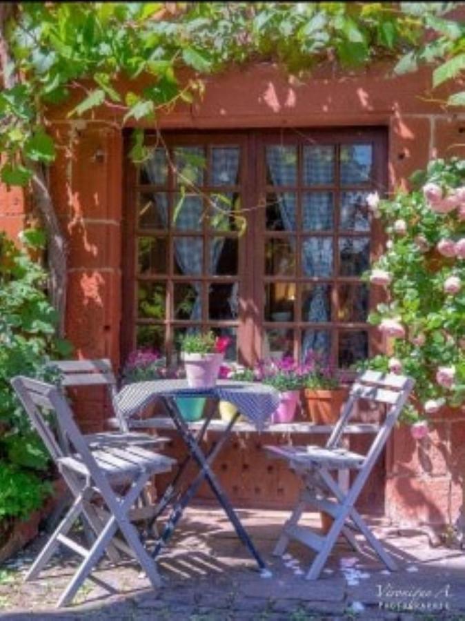 Le Parc Des 4 Saisons Bed & Breakfast Correze Luaran gambar