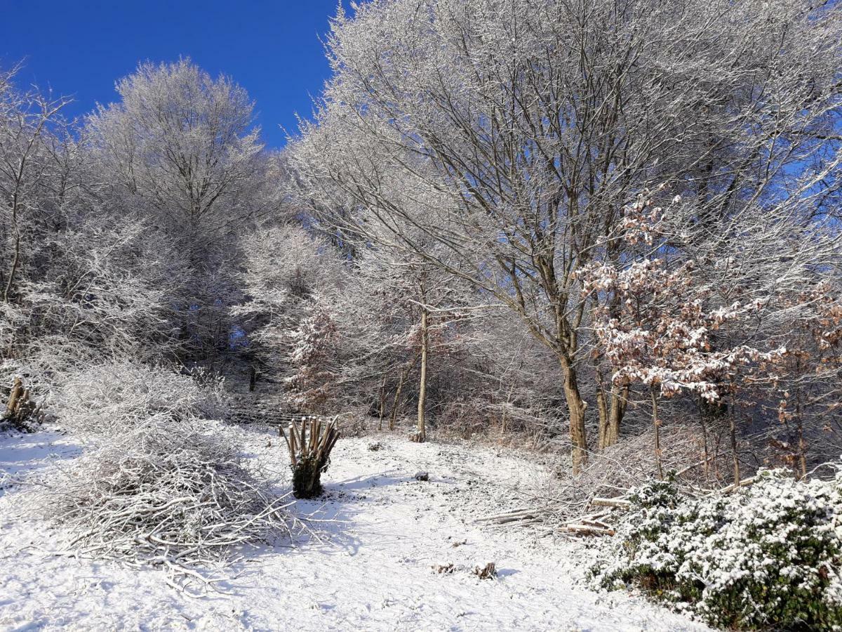 Le Parc Des 4 Saisons Bed & Breakfast Correze Luaran gambar