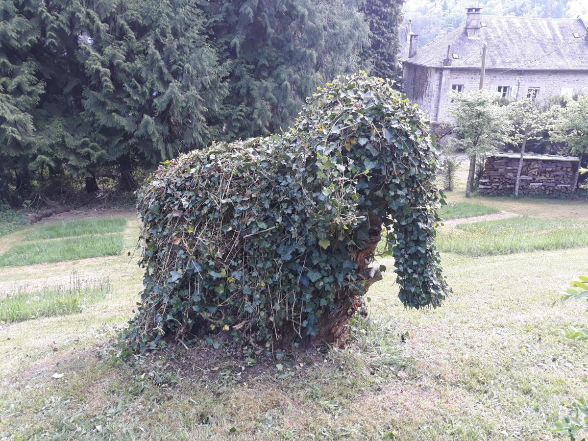 Le Parc Des 4 Saisons Bed & Breakfast Correze Luaran gambar